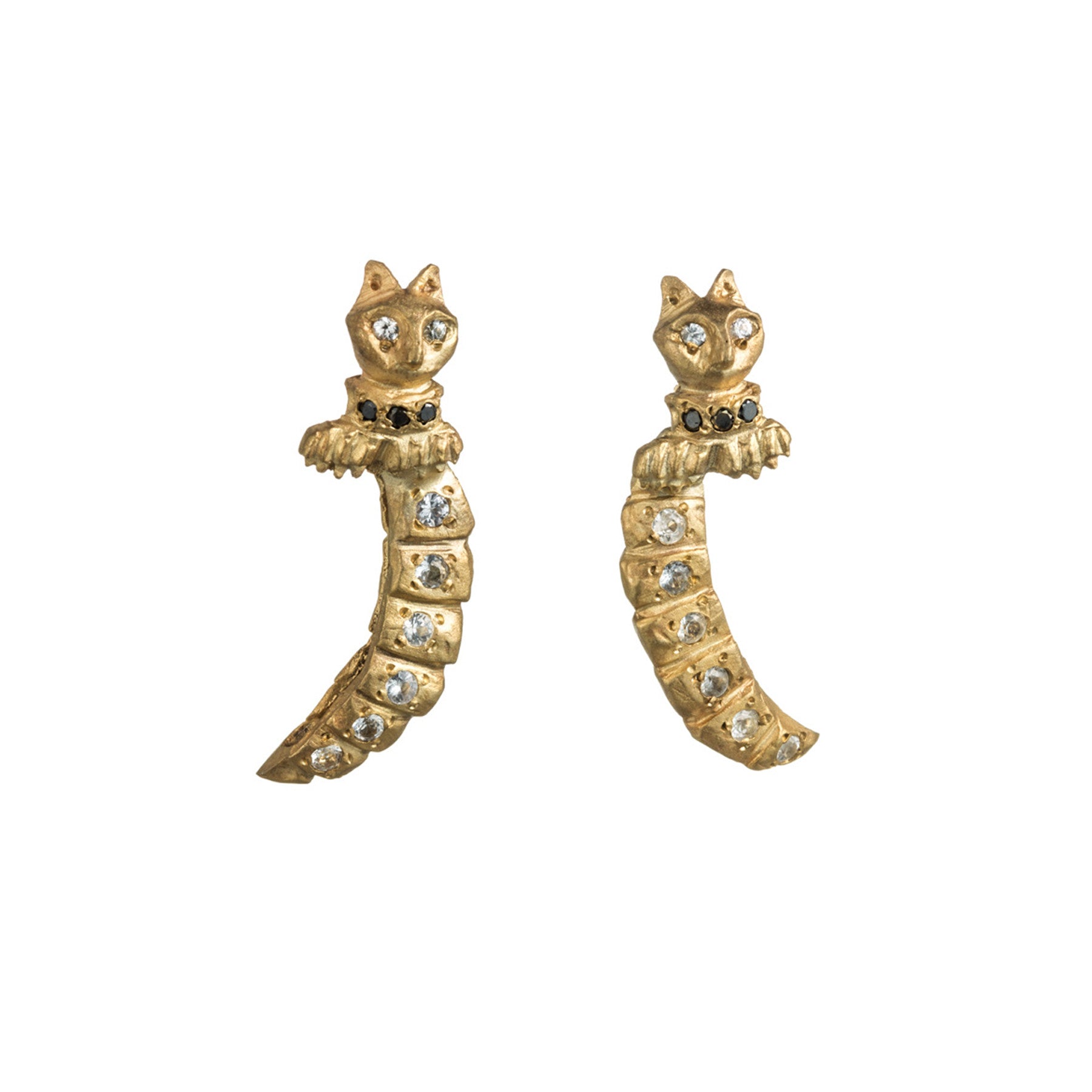 CATS WITH BIG TAILS