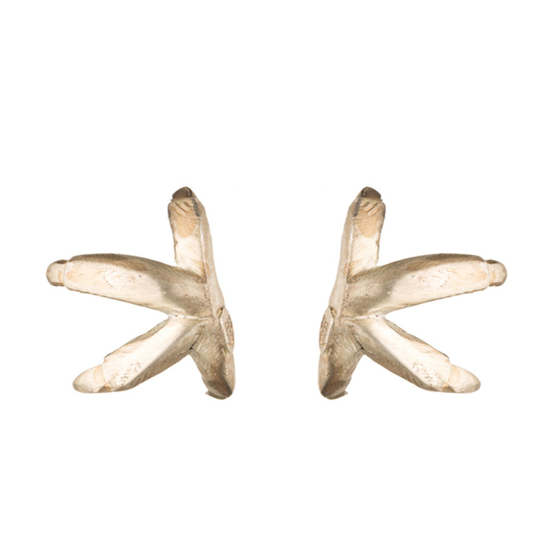 LARGE CLAWS