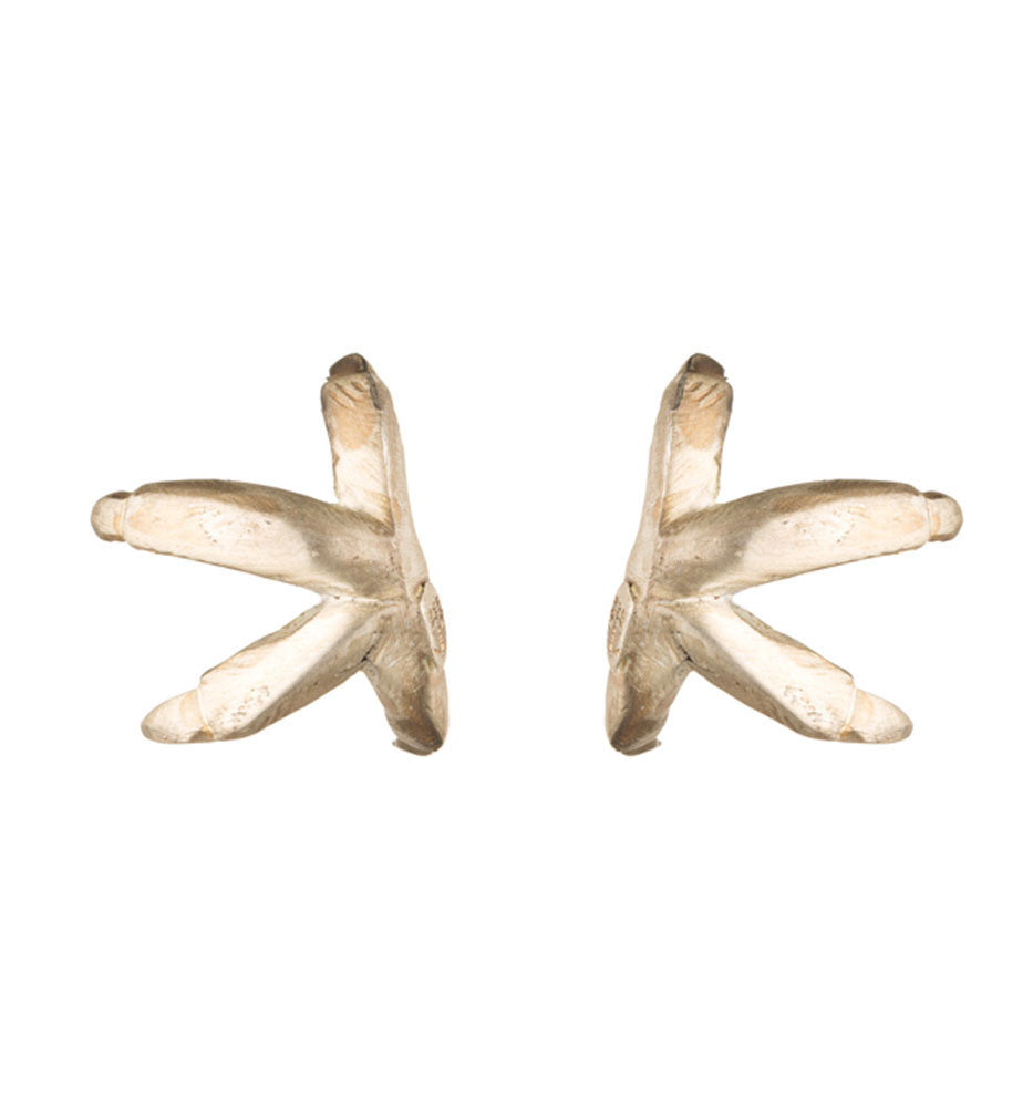 MEDIUM CLAWS