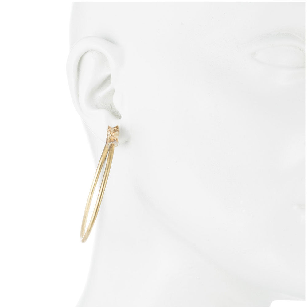 LARGEST CAT HOOPS