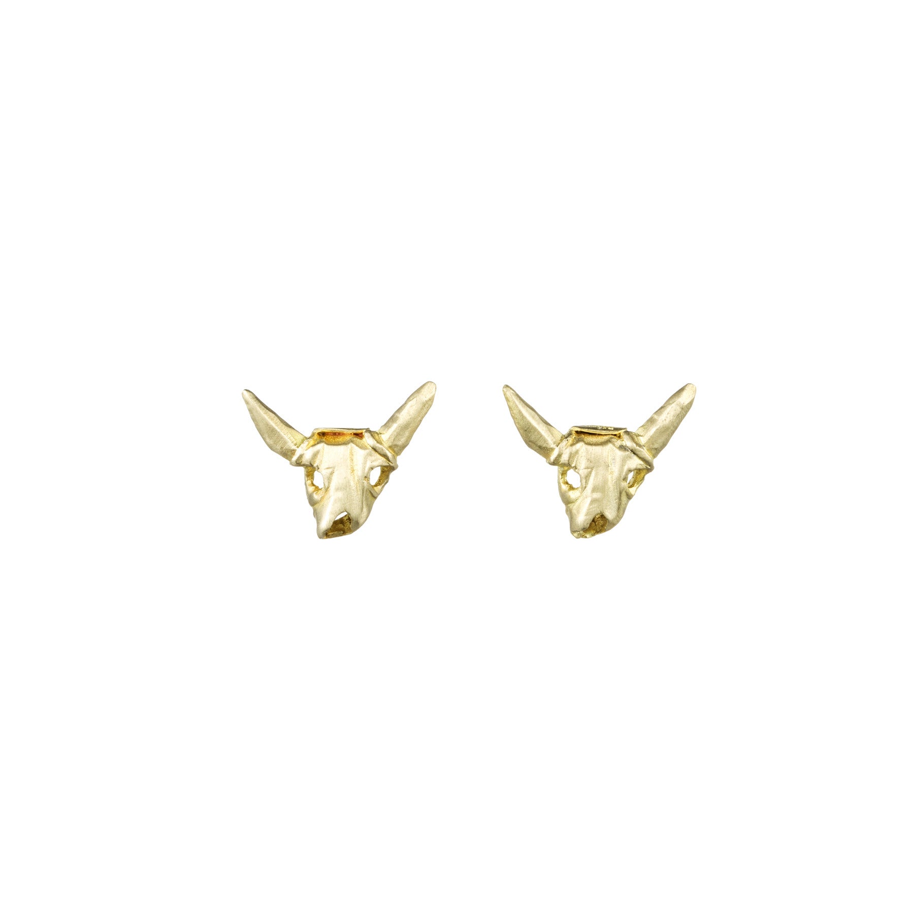 SMALL COW SKULLS