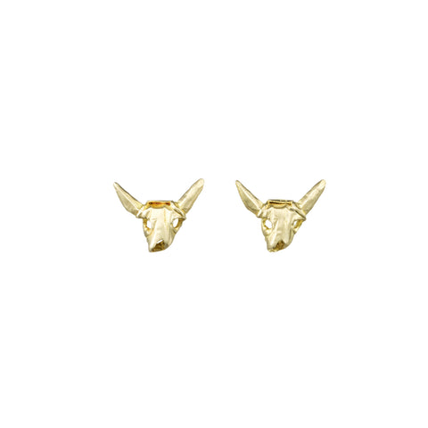 SMALL COW SKULLS
