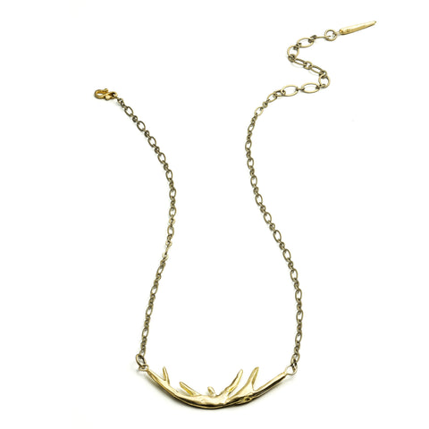 SMALL ANTLERS